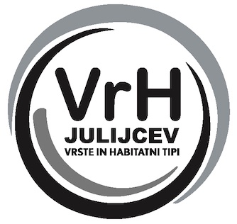 Projekt Vrh Julijcev