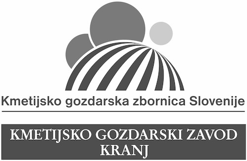 KGZ Kranj